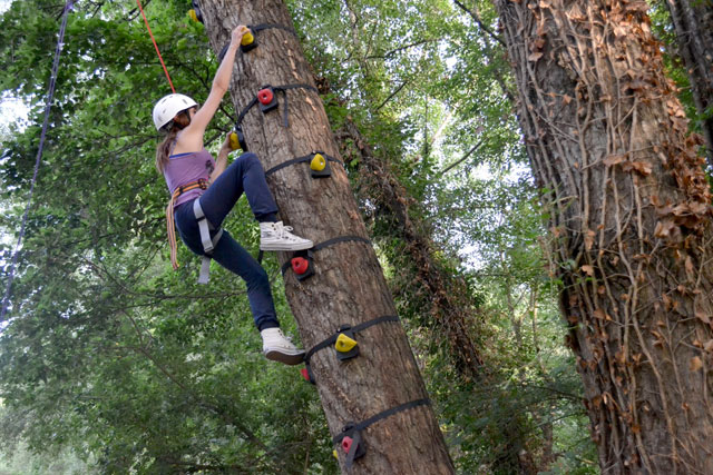 Tree Climbing